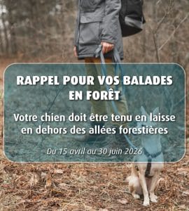 Du 15 avril au 30 juin – en forêt, chien en laisse en dehors des allées forestières
