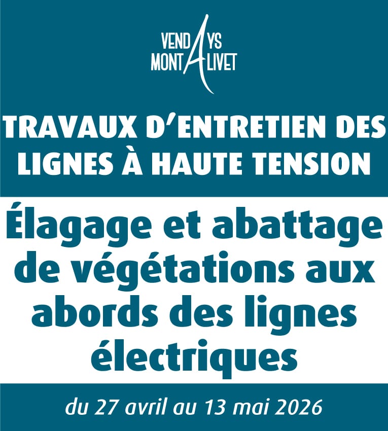 Travaux d’entretien des lignes à haute tension