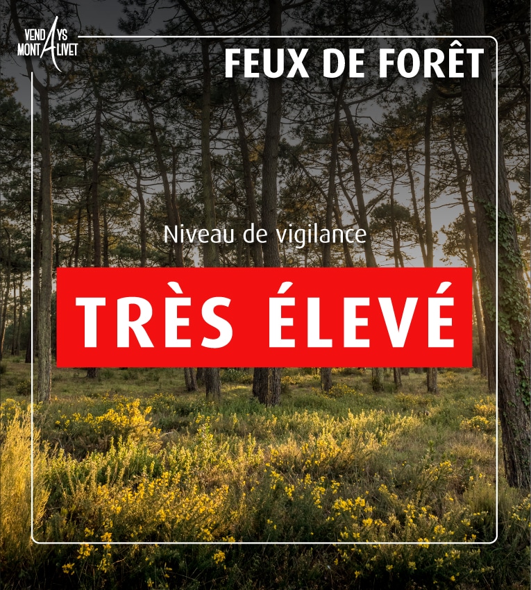 Passage en vigilance Rouge – Prévention des incendies de forêt en Gironde