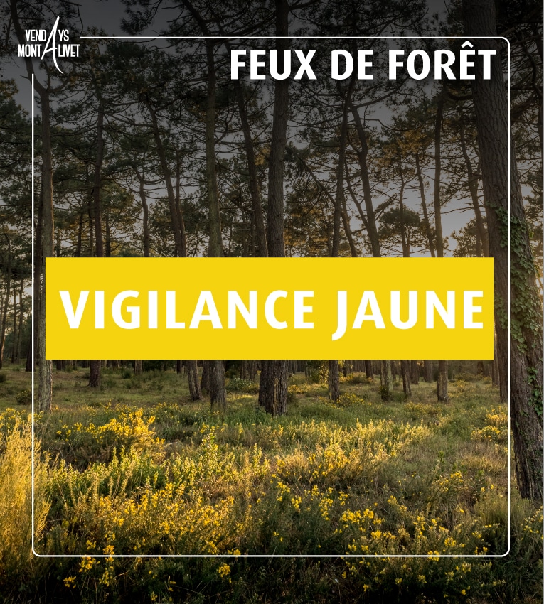Passage en vigilance Jaune – Prévention des incendies de forêt en Gironde