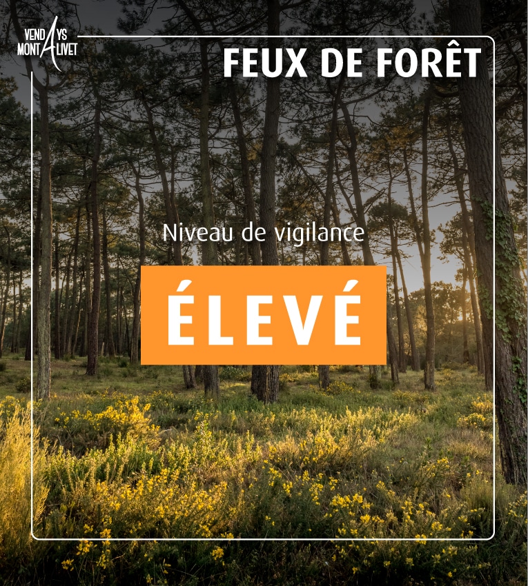 Passage en vigilance Orange – Prévention des incendies de forêt en Gironde