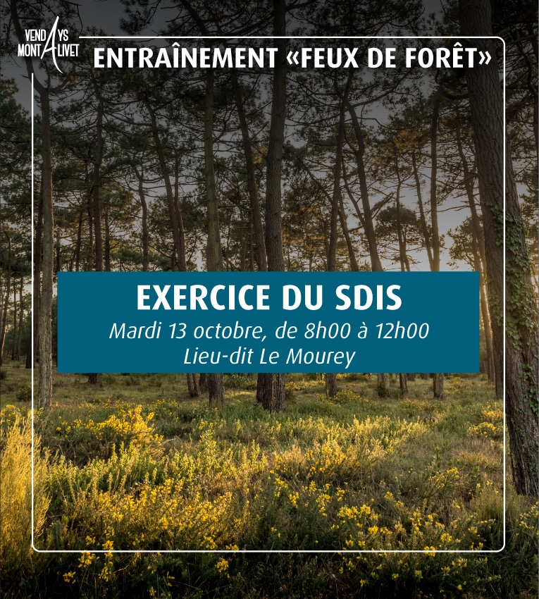 Entraînement “Feux de forêt” – SDIS